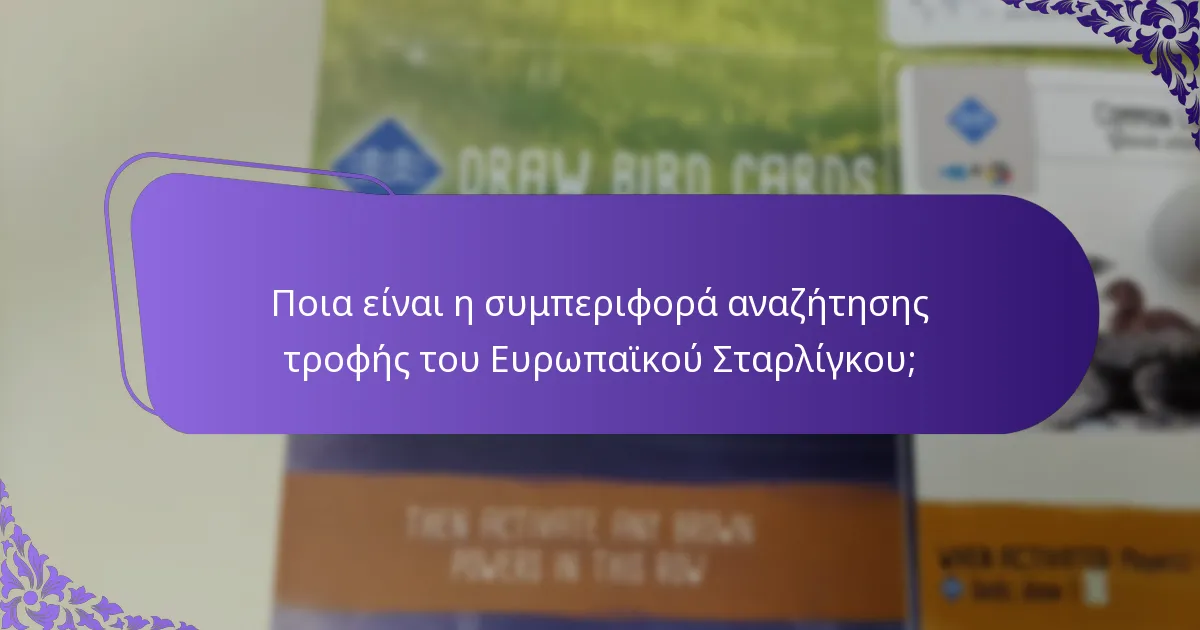 Πώς λειτουργεί η κοινωνική δομή του Ευρωπαϊκού Σταρλίγκου;