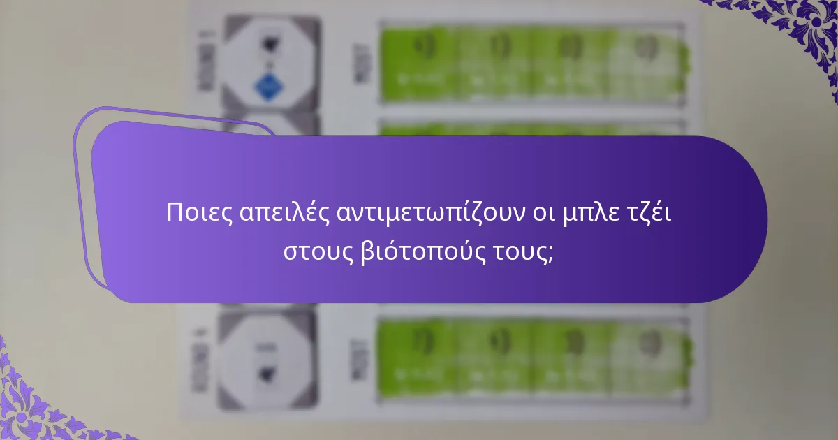 Ποια είναι η διατροφή των μπλε τζέι;