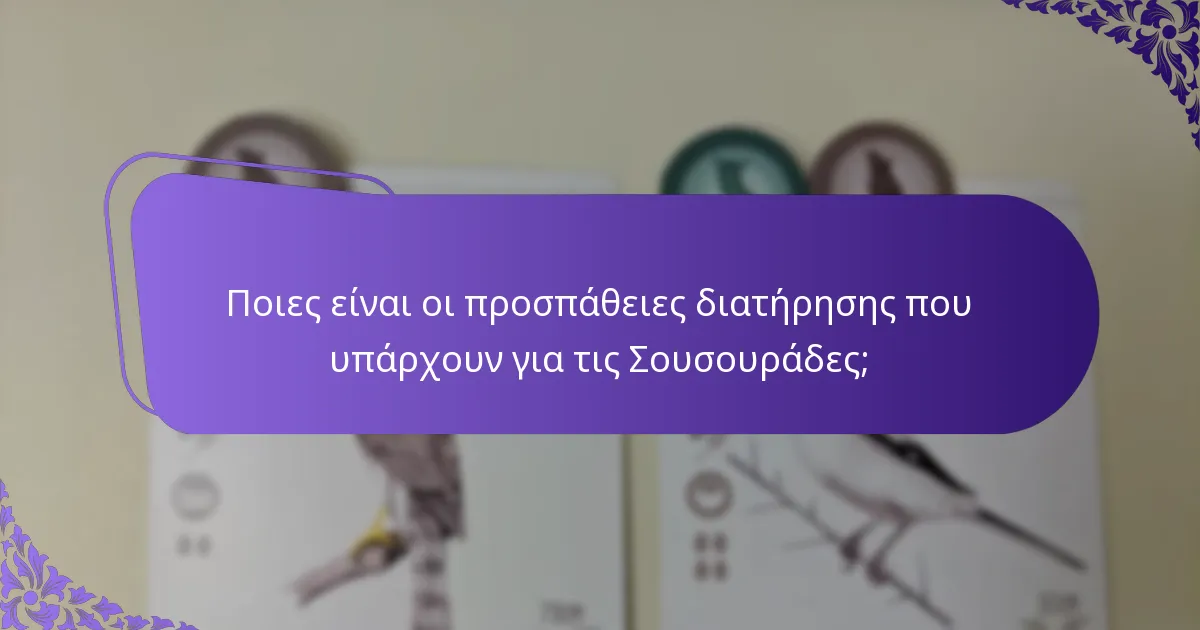 Ποια είναι η διατροφή των Σουσουράδων;