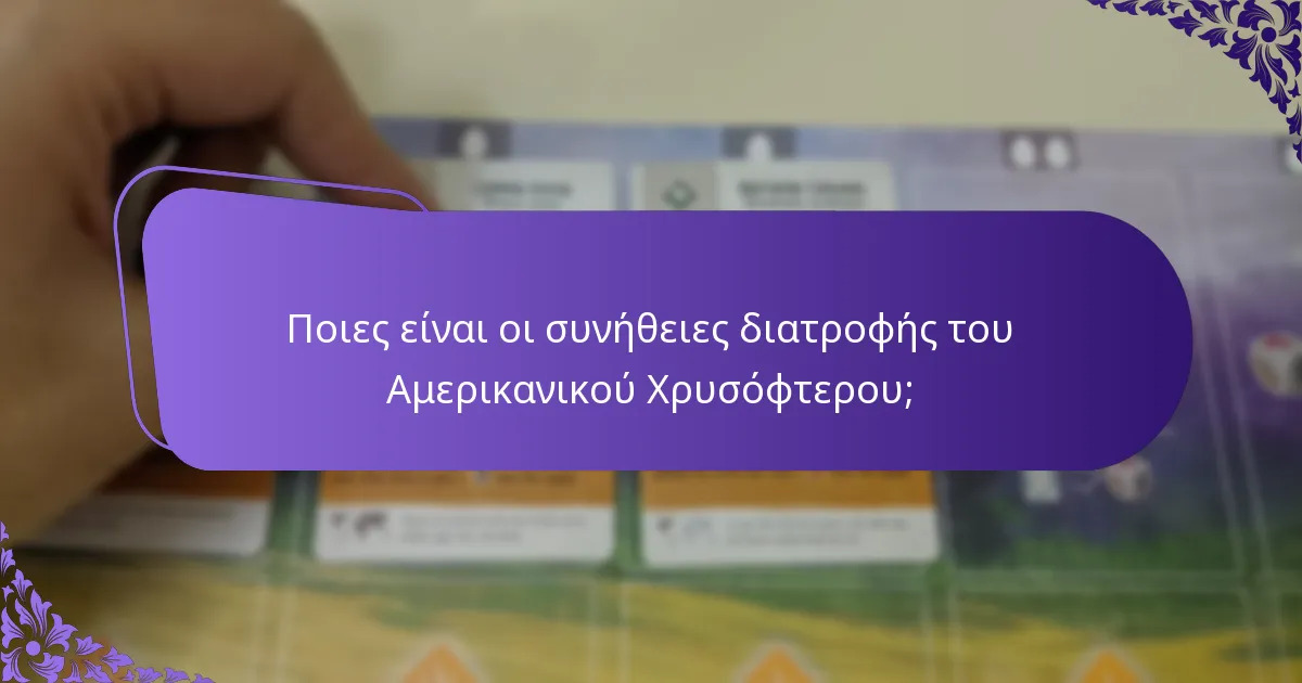 Ποιο είναι το φυσικό ενδιαιτώμενο του Αμερικανικού Χρυσόφτερου;