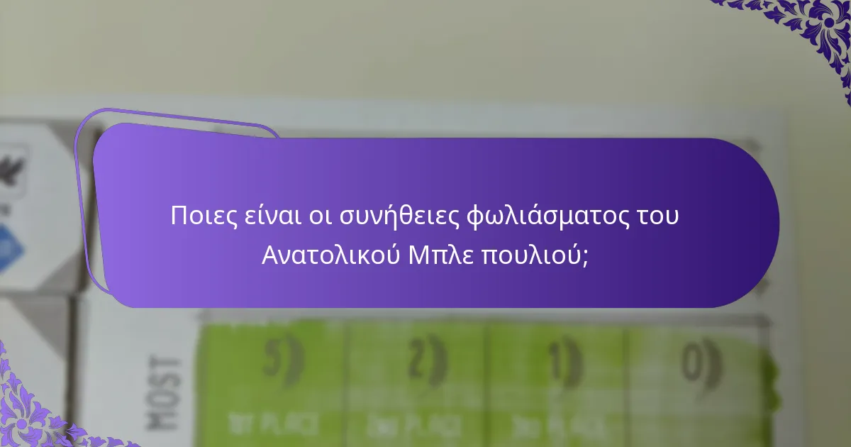 Ποιο είδος βιότοπου προτιμά ο Ανατολικός Μπλε πουλί;