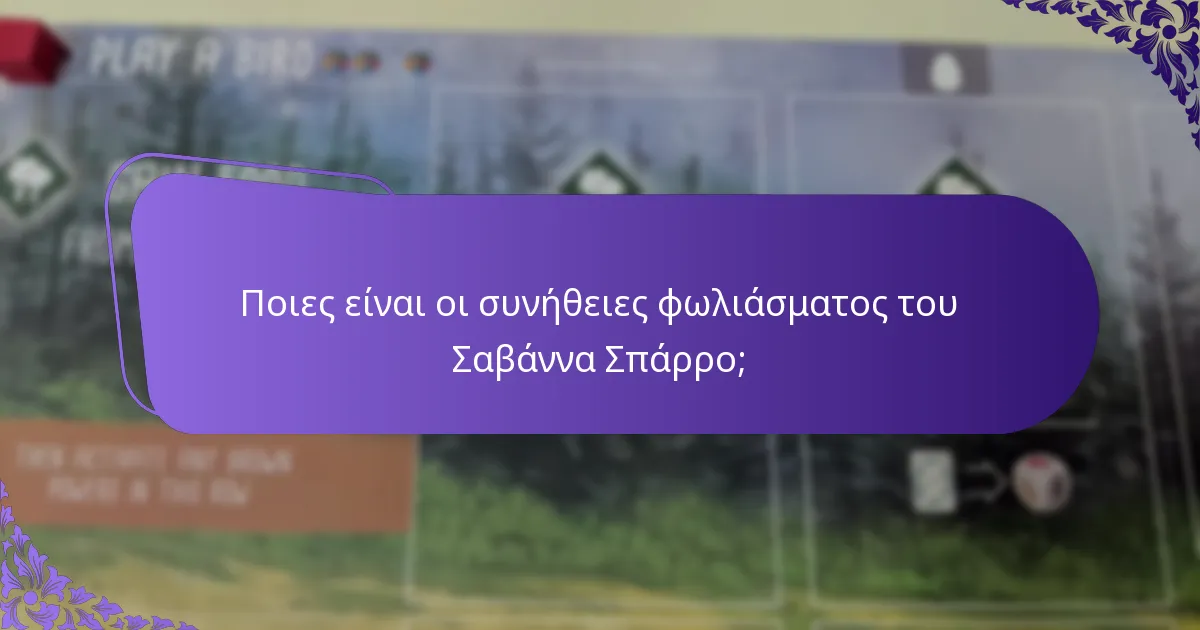 Πώς ακούγεται το τραγούδι του Σαβάννα Σπάρρο;