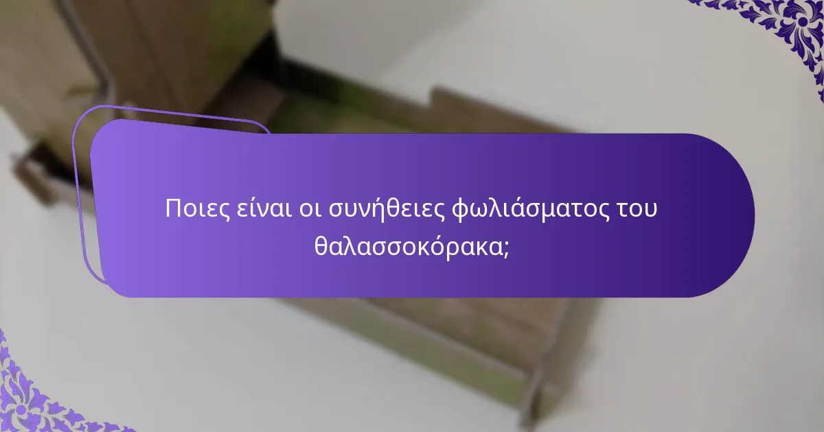 Ποια είναι η κατάσταση διατήρησης και οι απειλές για τους θαλασσοκόρακες;