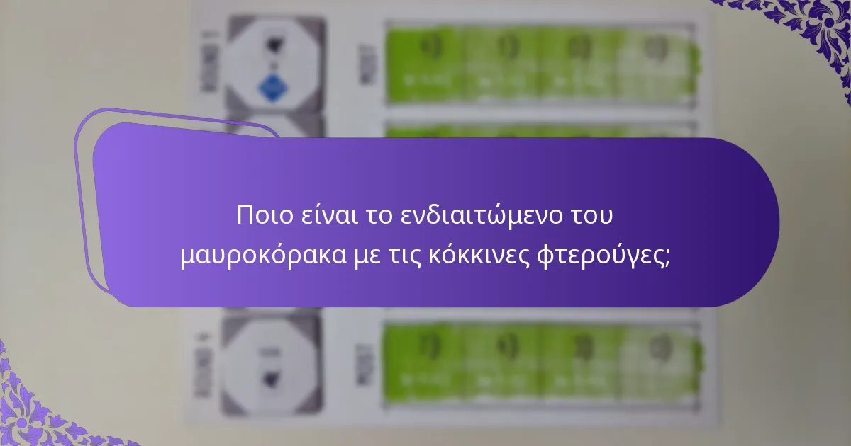 Τι τρώει ο μαυροκόρακας με τις κόκκινες φτερούγες;
