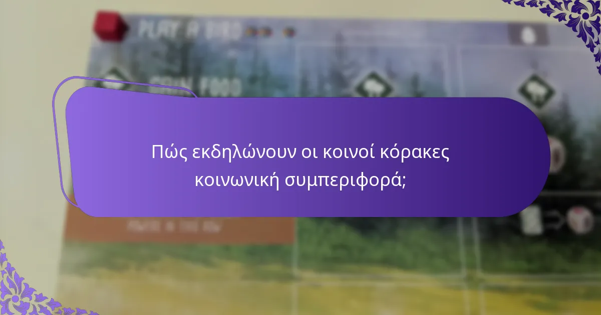 Ποια είναι η κατάσταση διατήρησης και οι απειλές για τους κοινούς κόρακες;