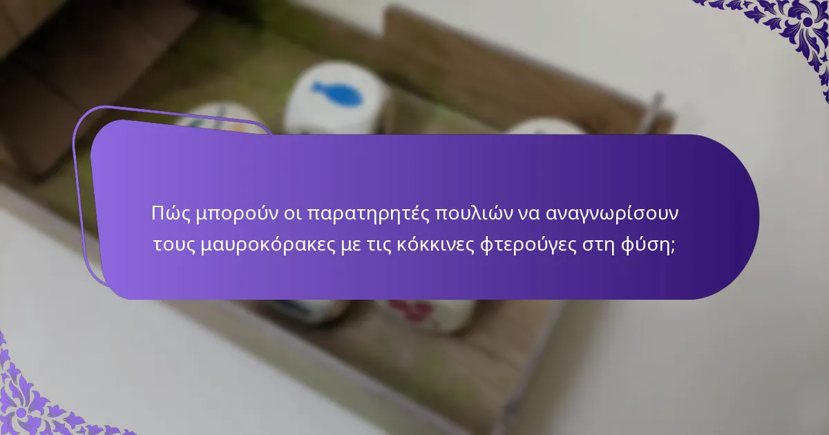 Πώς προσαρμόζεται η συμπεριφορά του μαυροκόρακα με τις κόκκινες φτερούγες στις περιβαλλοντικές αλλαγές;